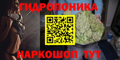 хмурый Вышний Волочёк