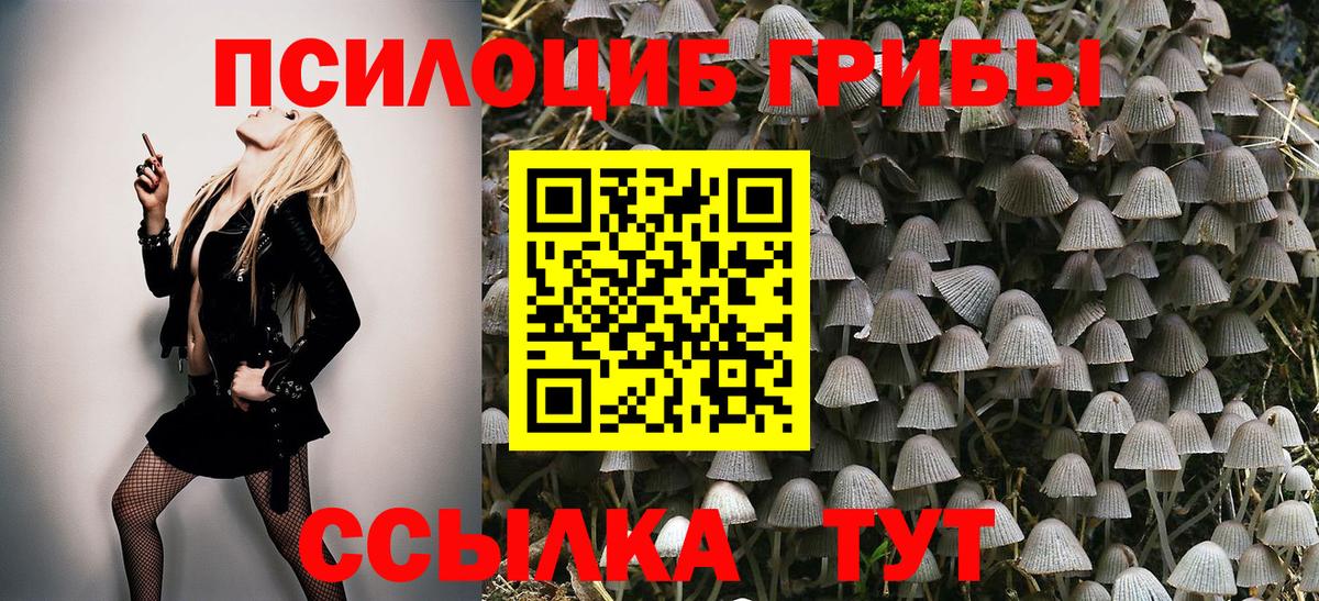 Лосино-Петровский  Псилоцибиновые грибы прущие грибы  Вход с VPN 